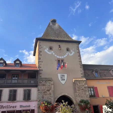 Duplex Au Coeur De Turckheim, 10 Min De Colmar Et Place De Parking Apartamento