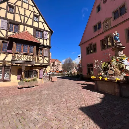 Duplex Au Coeur De Turckheim, 10 Min De Colmar Et Place De Parking 公寓 *