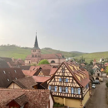 公寓 Duplex Au Coeur De Turckheim, 10 Min De Colmar Et Place De Parking 蒂尔凯姆