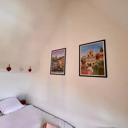 Duplex Au Coeur De Turckheim, 10 Min De Colmar Et Place De Parking 公寓 蒂尔凯姆