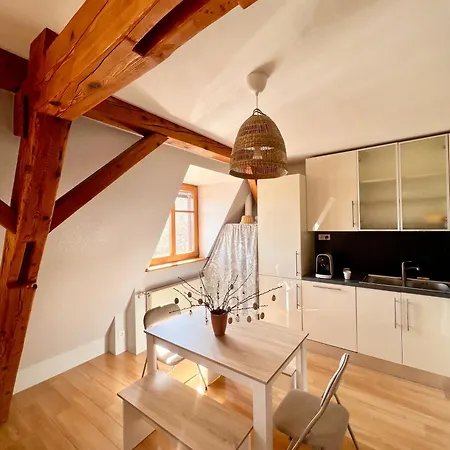 Duplex Au Coeur De Turckheim, 10 Min De Colmar Et Place De Parking Apartamento