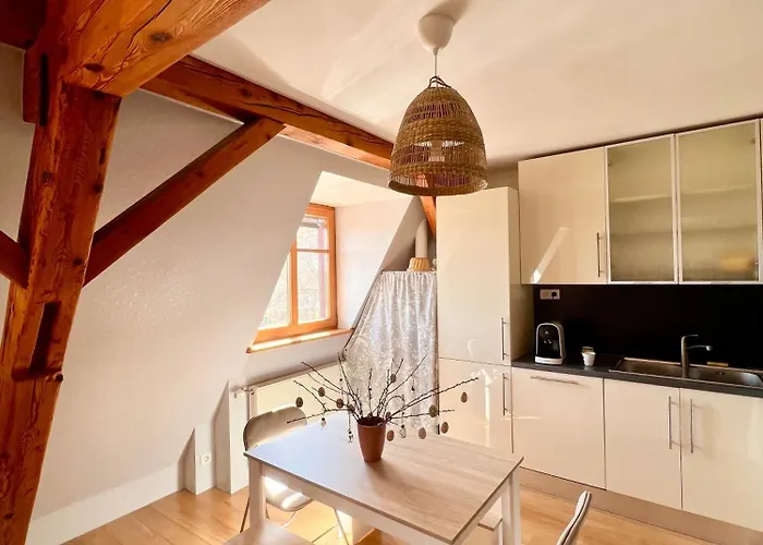 Duplex Au Coeur De Turckheim, 10 Min De Colmar Et Place De Parking Apartment